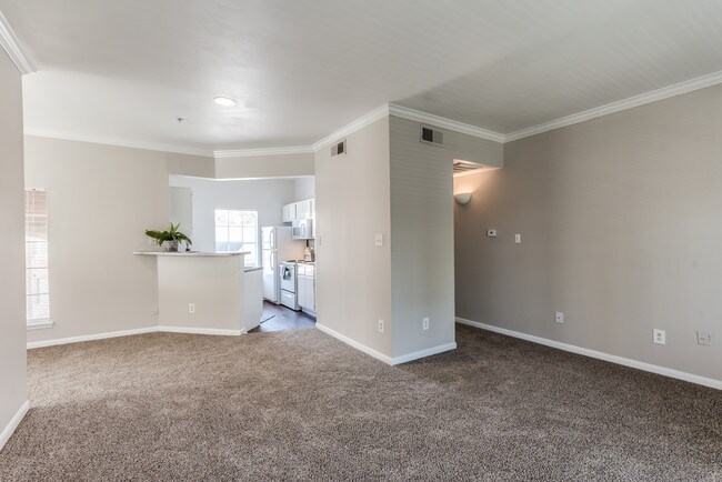 Hollow Creek Apartments Conroe, TX