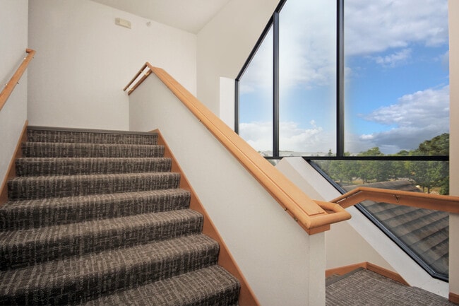 Building Photo - Regency Park South