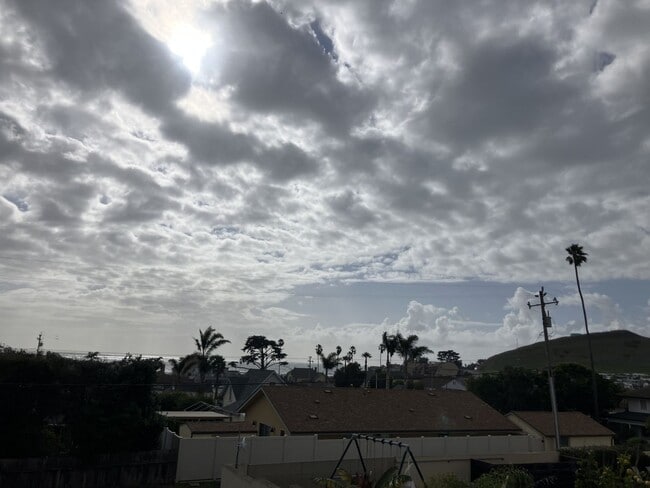 Building Photo - 173 Birch Ave