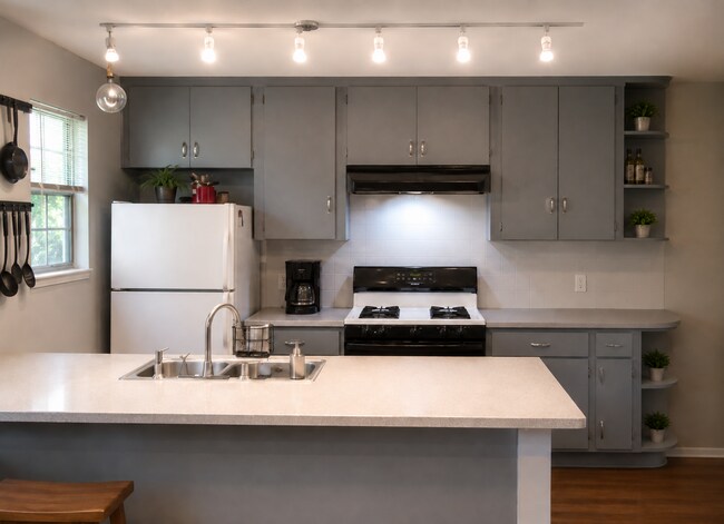 Foto del edificio - Charming Studio Apartment in Hyde Park – Private Yard, Wood Floors & Onsite Laundry
