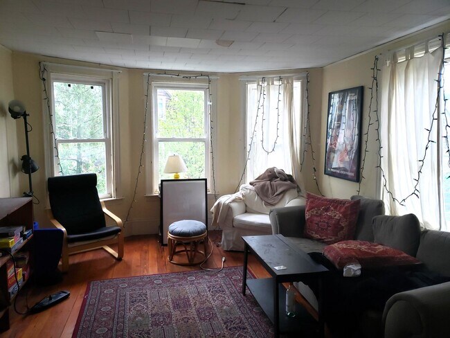 living room - 80 Orchard St