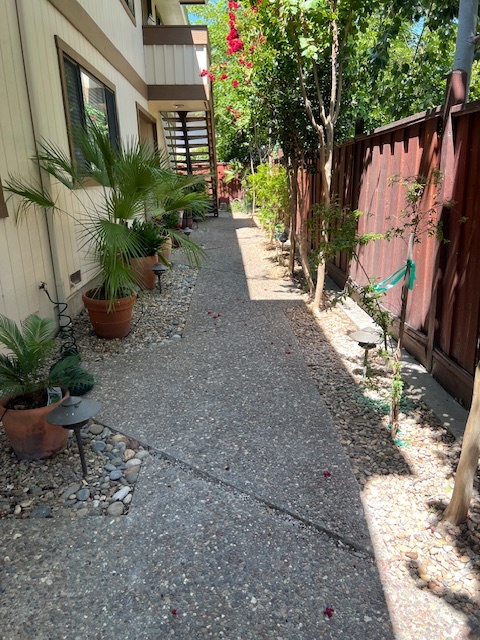 Walkway - 1220 Walker Ave