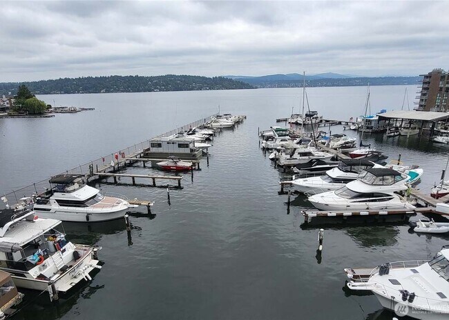 Lake Washington Marina - 9030 Seward Park Ave S