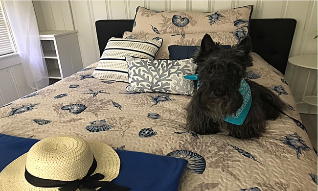 Three cosy bedrooms and pet friendly. - 5420 Hampton Cir