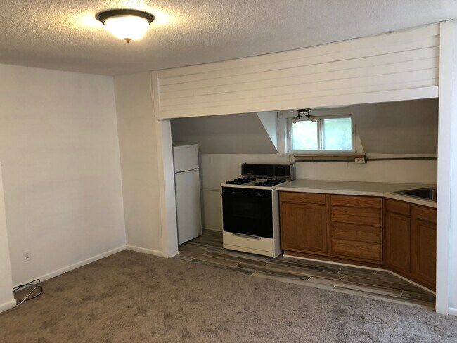 Living room/kitchen - 402 N Walnut St