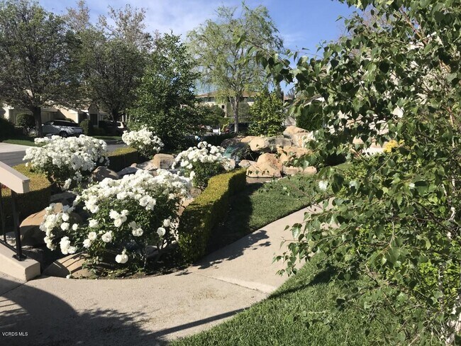 Foto del edificio - 2971 Shadow Brook Ln