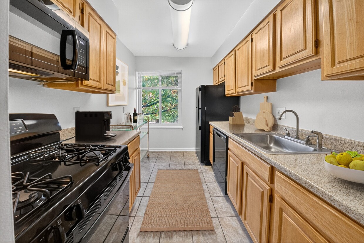 Brookland Ridge Apartments - Brookland Ridge Apartments