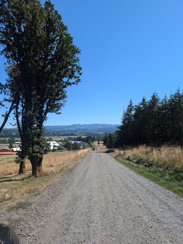 Primary Photo - 3 bed, 2 bath on edge of town