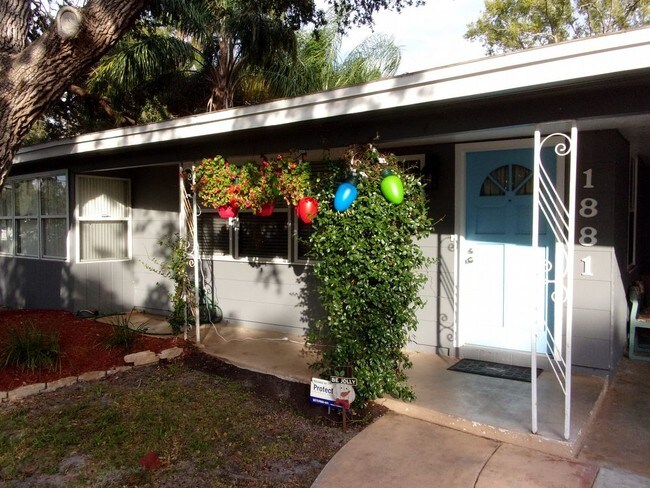 Building Photo - Dunedin Delight 2 Bed Home