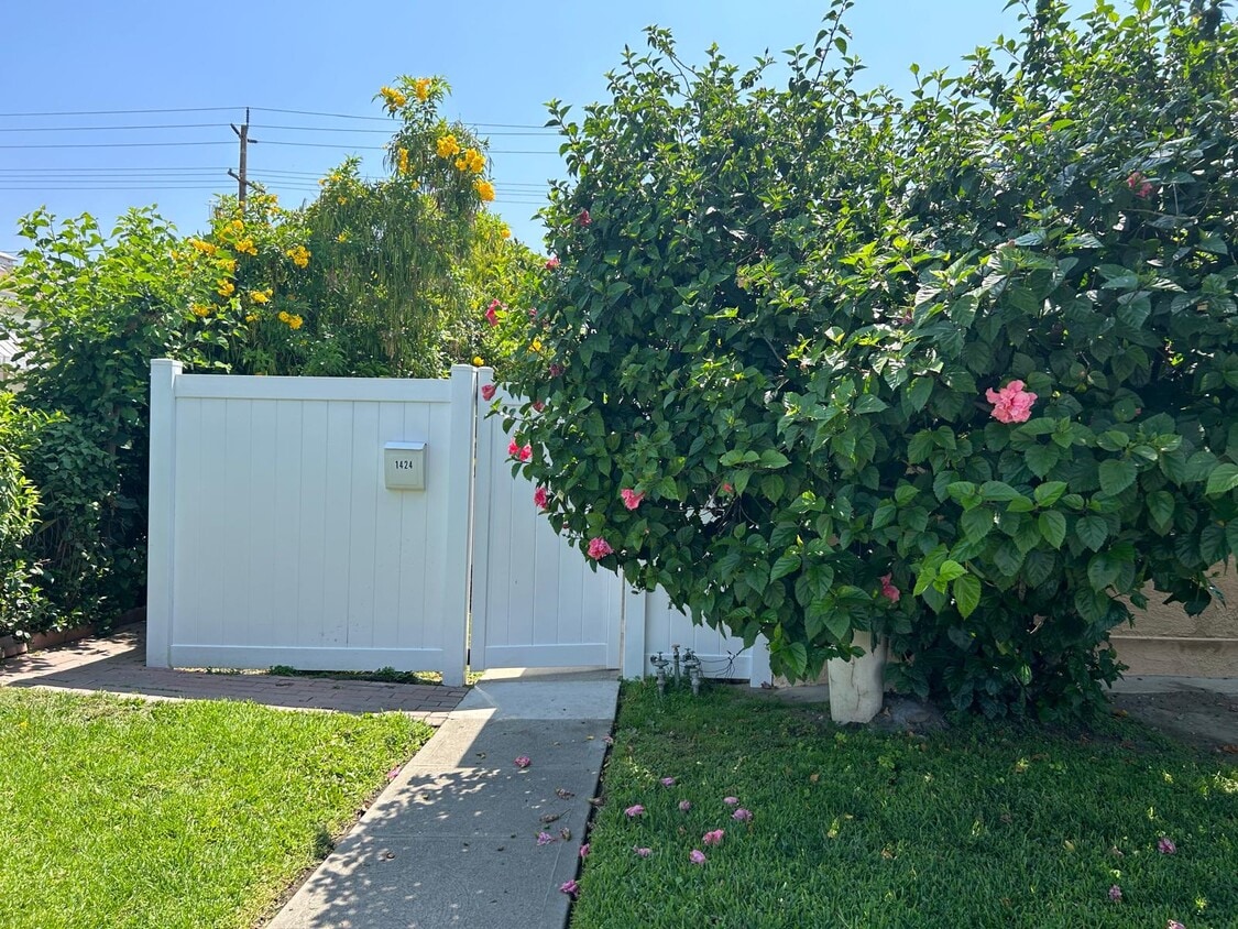 Primary Photo - 1426 N Hollywood Way