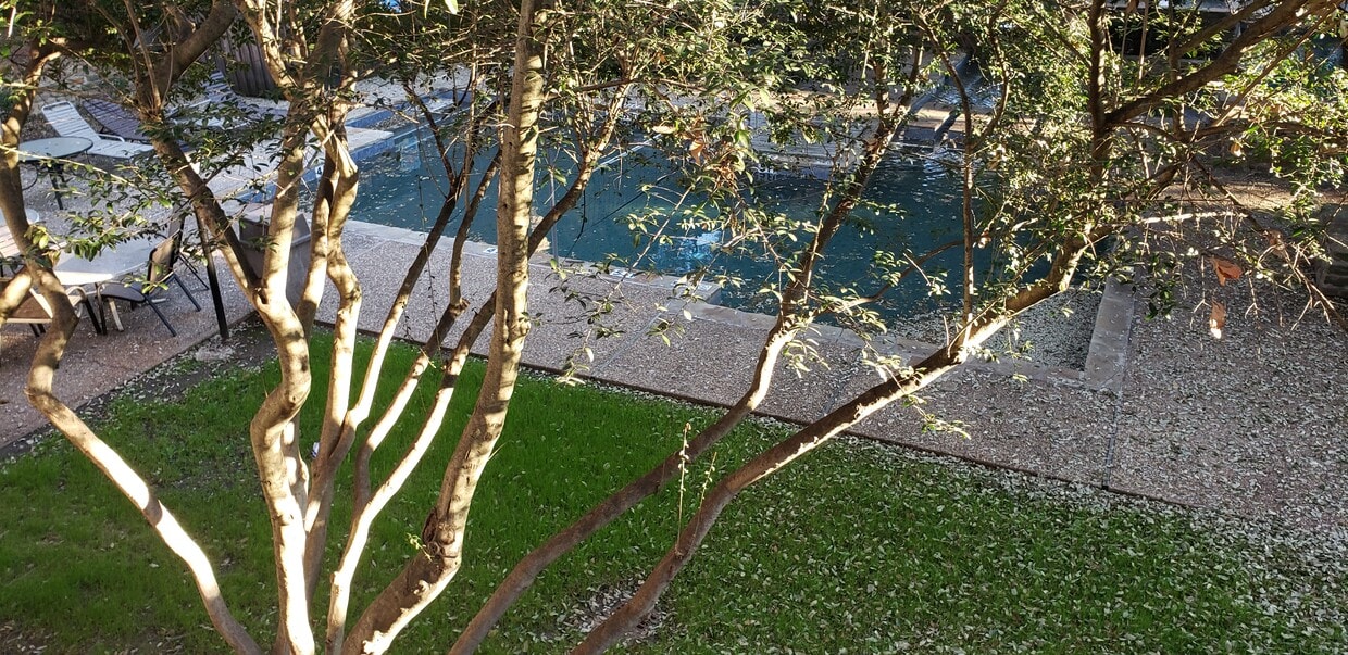 3605 W Northgate Dr Unit 209, Irving, TX 75062 Condo for Rent in