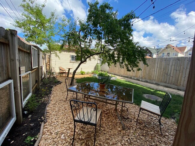 Back Yard peach tree - 1717 N Monticello Ave