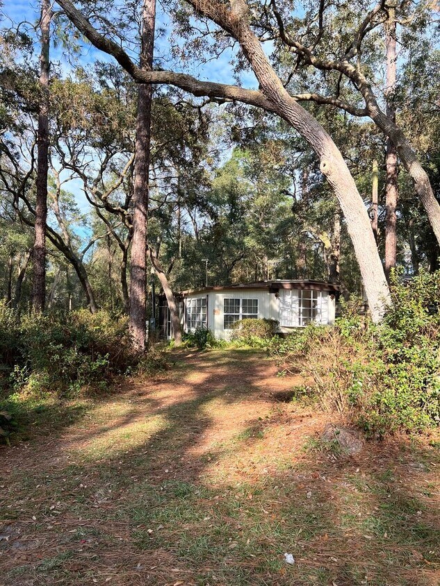 Primary Photo - Cozy in the Forest