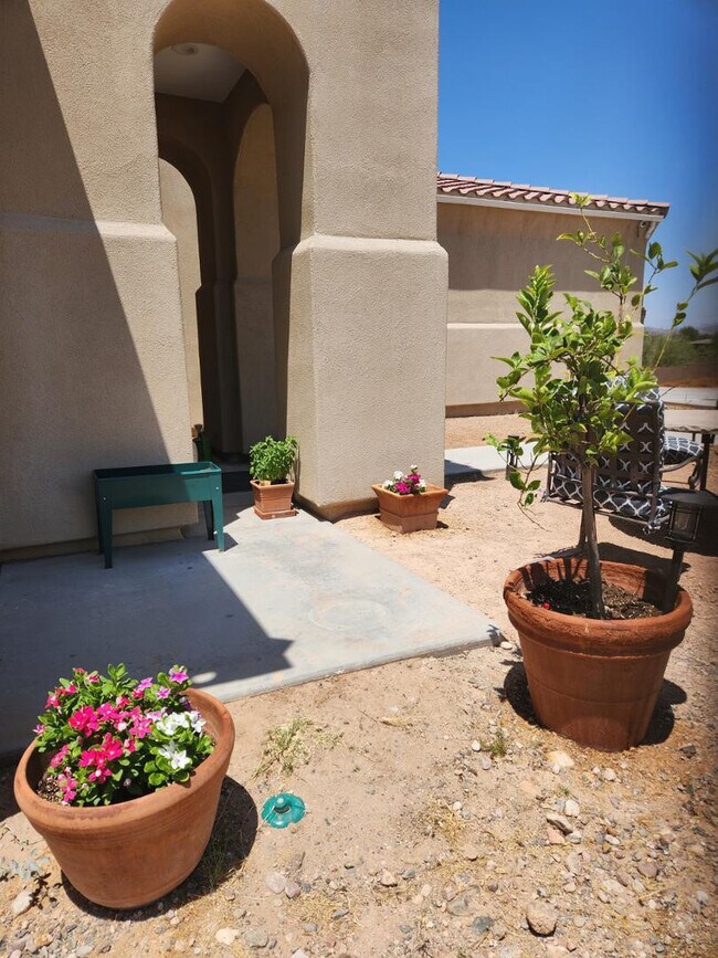 Building Photo - 10485 W Pinnacle Peak Rd