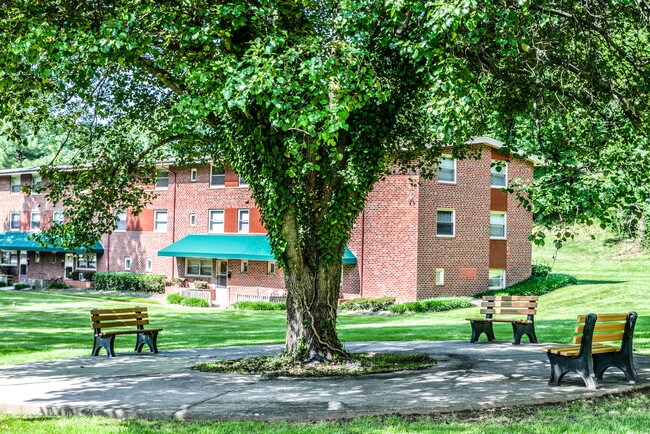 Patio - Mt Washington Apartments