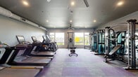 Located at 723 Wheatland St in Phoenixville, PA, this fitness center offers a comprehensive workout facility within a single, open-plan space. The interior is finished with a contemporary aesthetic, featuring dark gray walls and ceilings complemented by recessed lighting and large ceiling fans that ensure comfortable airflow throughout. The flooring consists of modular carpet tiles in a distinctive purple and gray pattern, lending a modern, energetic feel to the environment.

The cardio zone is well-appointed with multiple treadmills, elliptical trainers, a stair climber, and a rowing machine, all equipped with individual digital screens. A strength training area provides a full rack of dumbbells, multiple cable and multi-functional weight machines, adjustable benches, and a pull-up and dip station. A wall-mounted television is positioned for convenient viewing during workouts.

Large windows along the perimeter walls invite abundant natural light and offer views of the surrounding greenery, creating an open, airy atmosphere. Exposed ductwork and a ventilation system run along the upper walls, adding an industrial character to the space. A sanitizing station and informational signage are also present, reflecting a commitment to cleanliness and user convenience. This facility provides a thorough and functional environment suitable for a wide range of fitness routines.
