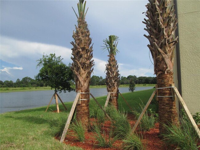 Foto del edificio - 20209 Lagente Cir