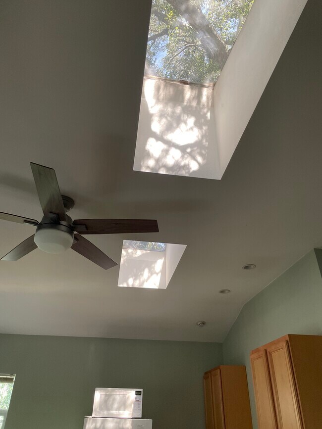 Two skylights - 85 Sherwood Dr