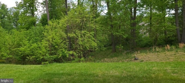 Building Photo - 4506 Nightingale Ct