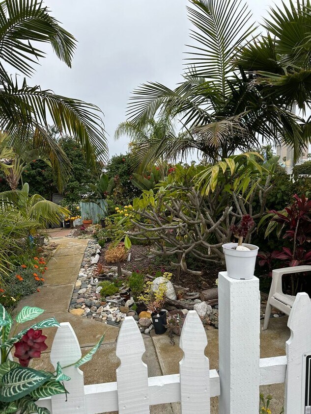 Primary Photo - Cute Oceanside Studio with utilities inclu...
