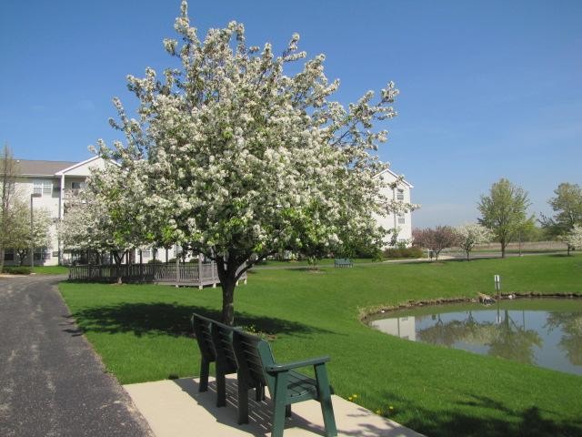 Foto del edificio - Anderson Farms Apartments