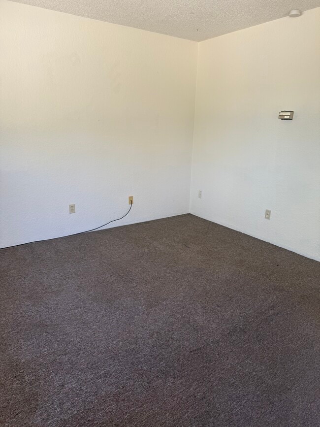 Building Photo - 433 Avenida Garza