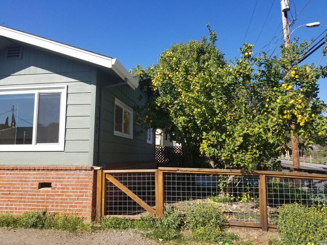 529 University St Unit A, Healdsburg, CA 95448 Condo for Rent in