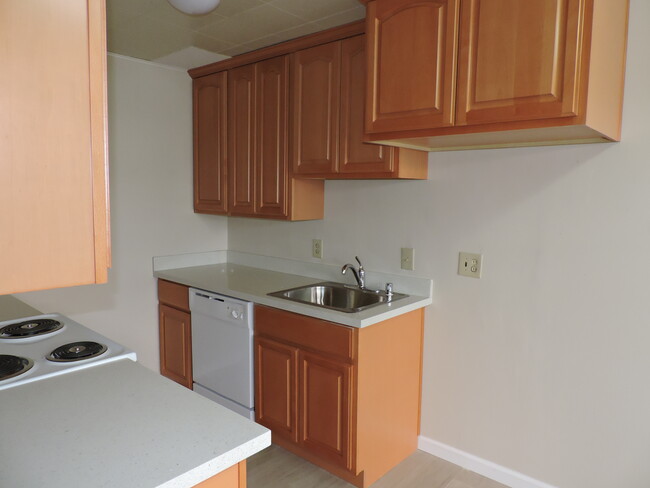 kitchen sink and dishwasher - 684 Old San Francisco Rd