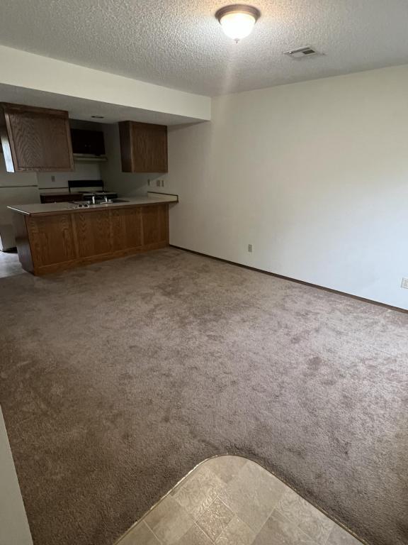 Primary Photo - 219 W Hudson St Apt H