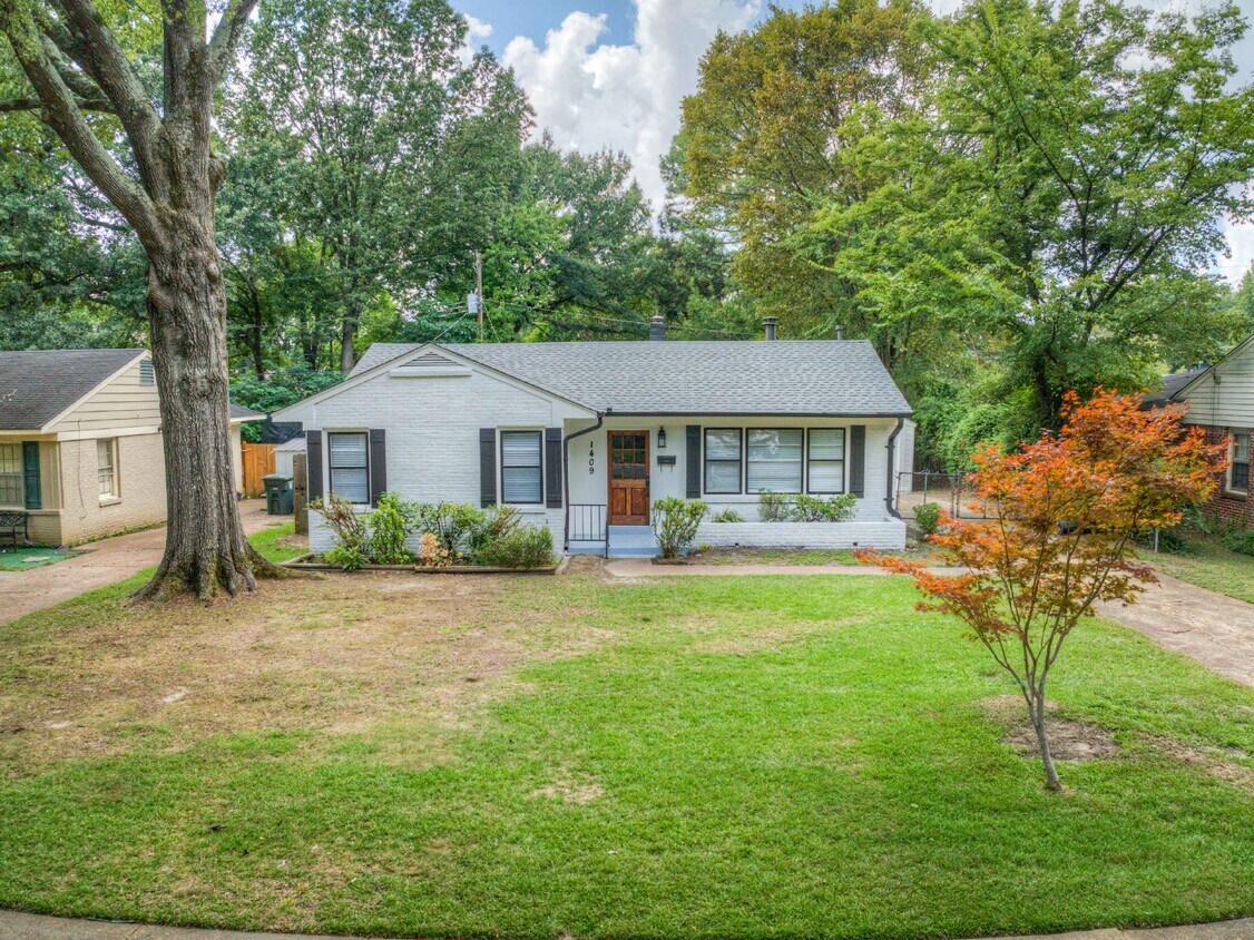 Primary Photo - Renovated 3 Bed Rental Home with Hardwood ...