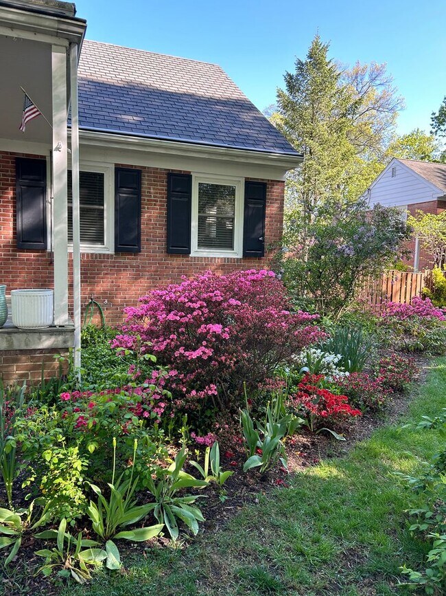 Foto del edificio - Wyomissing Schools Rental