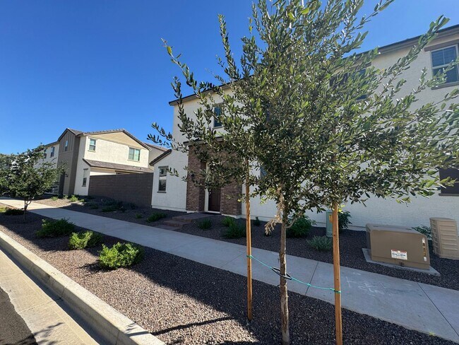 Building Photo - Union Park New Build 3 bed 2.5 bath