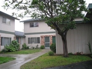 1158 Ash - 1158 Ash St