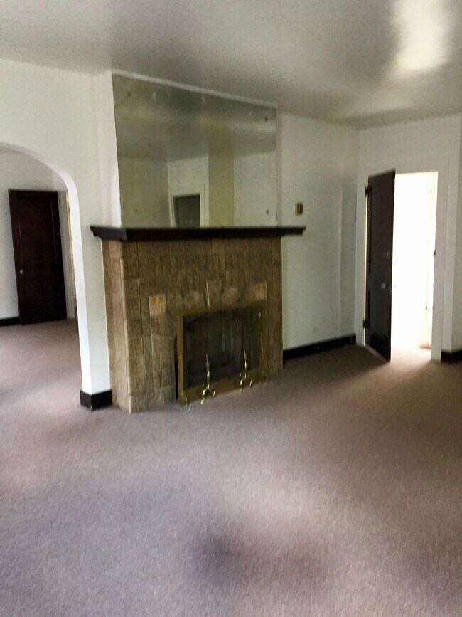 LR fireplace & door to downstairs - 252 S Winebiddle St