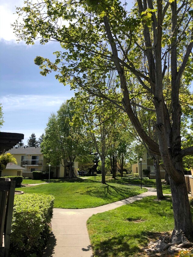 Foto principal - 3076 Marlow Rd
