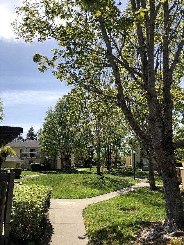 Foto principal - 3076 Marlow Rd