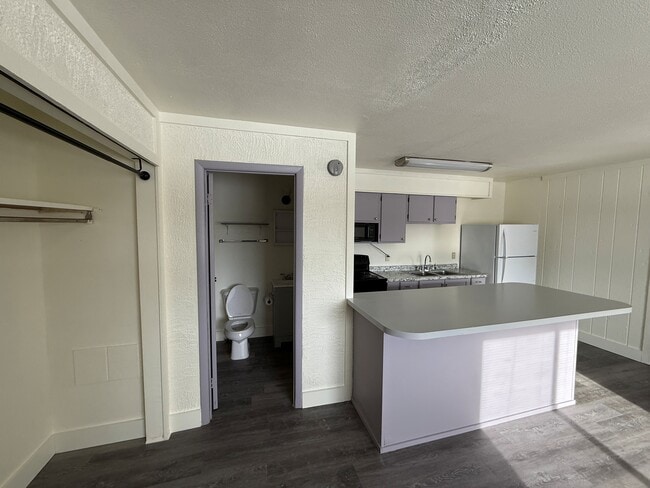 Studio APT 3 Kitchen and Bathroom - Hillside Apartments