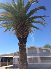 Building Photo - 26618 S Maricopa Pl