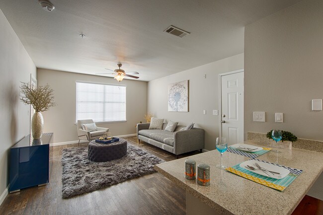 Bedroom Apartments In Tallahassee Bedroom Apartments In Tallahassee
