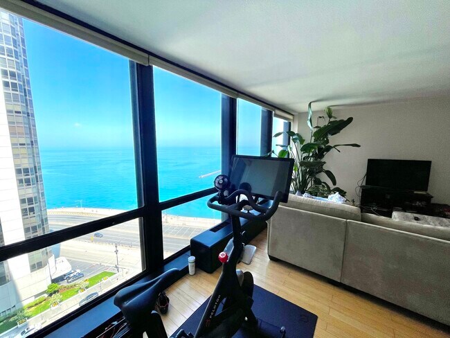 Foto del edificio - 900 N Lake Shore Dr