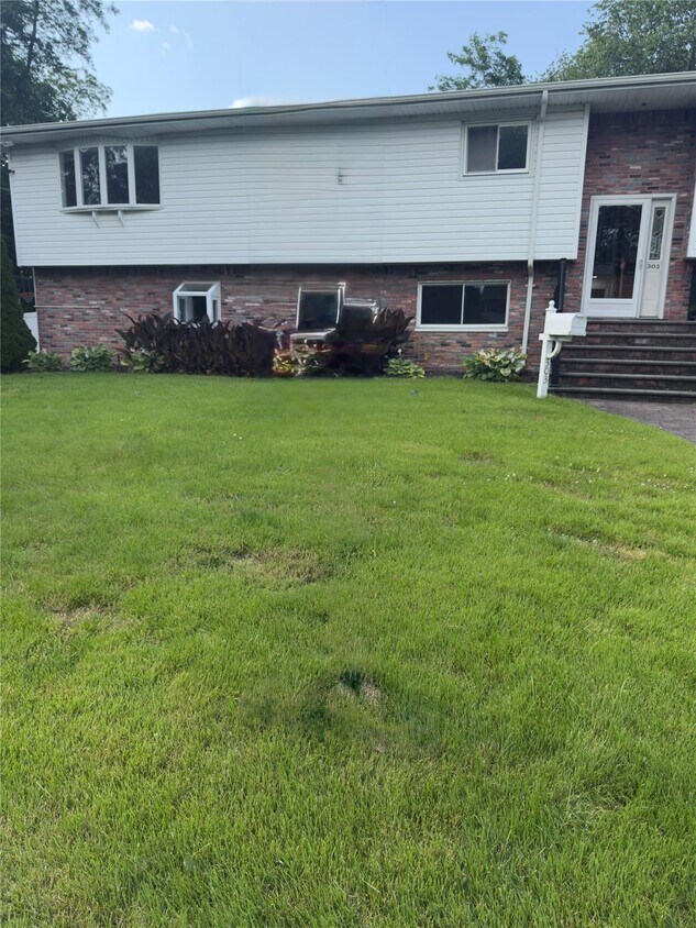 Primary Photo - 303 Alfred St
