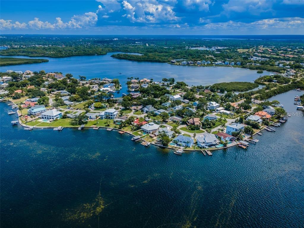 134 Carlyle Dr, Palm Harbor, FL 34683 House for Rent in Palm Harbor