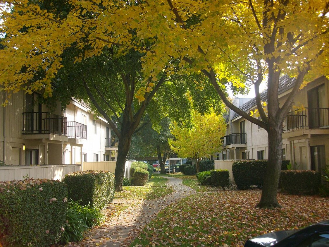 Otoño en Cadillac Drive - Cadillac Drive Townhomes