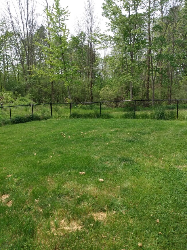 Spacious fenced back yard - 5870 Cooper St