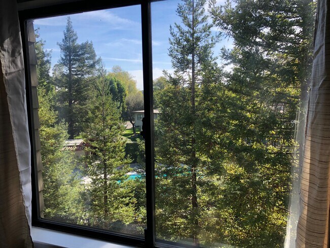 View From Bedroom #2 - 111 Albion Ct