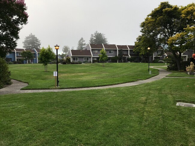 Foto del edificio - 149 Harbor Oaks Cir