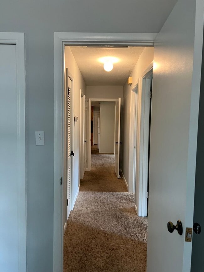 Building Photo - 205 Morgan Ln