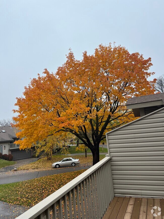 Sherwood Apartments for Rent Eden Prairie, MN 2 Rentals