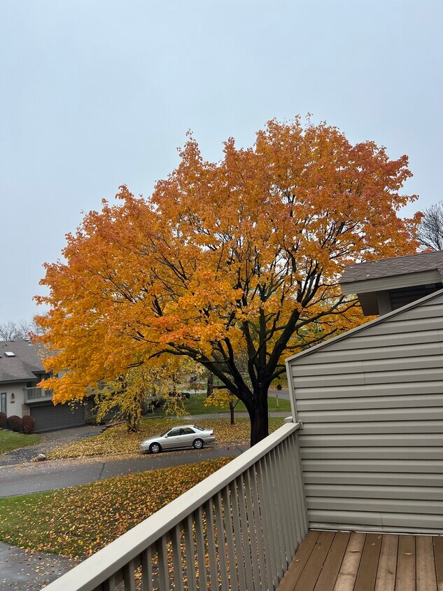 9744 Dorset Ln, Eden Prairie, MN 55347 Townhome Rentals in Eden