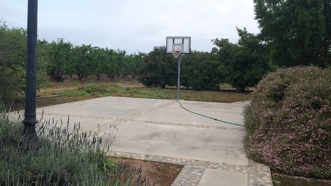 Building Photo - Country Home